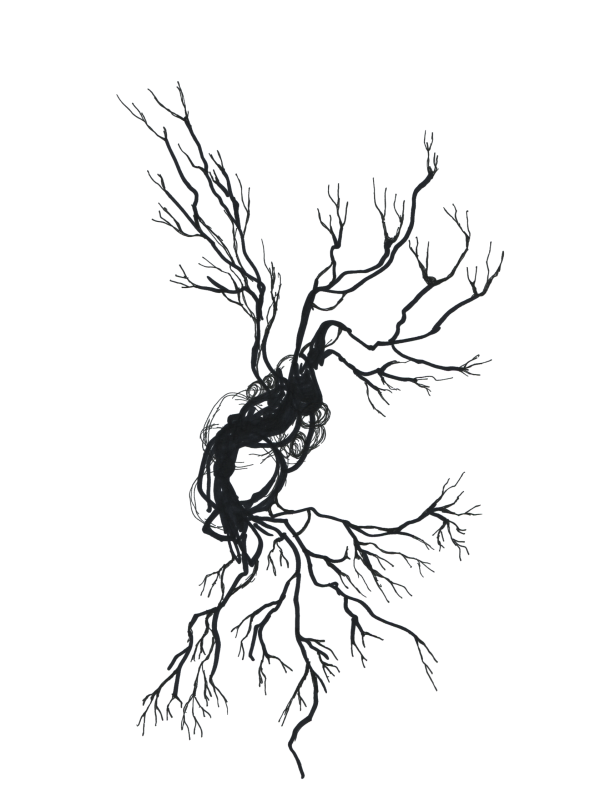 diagram illustration