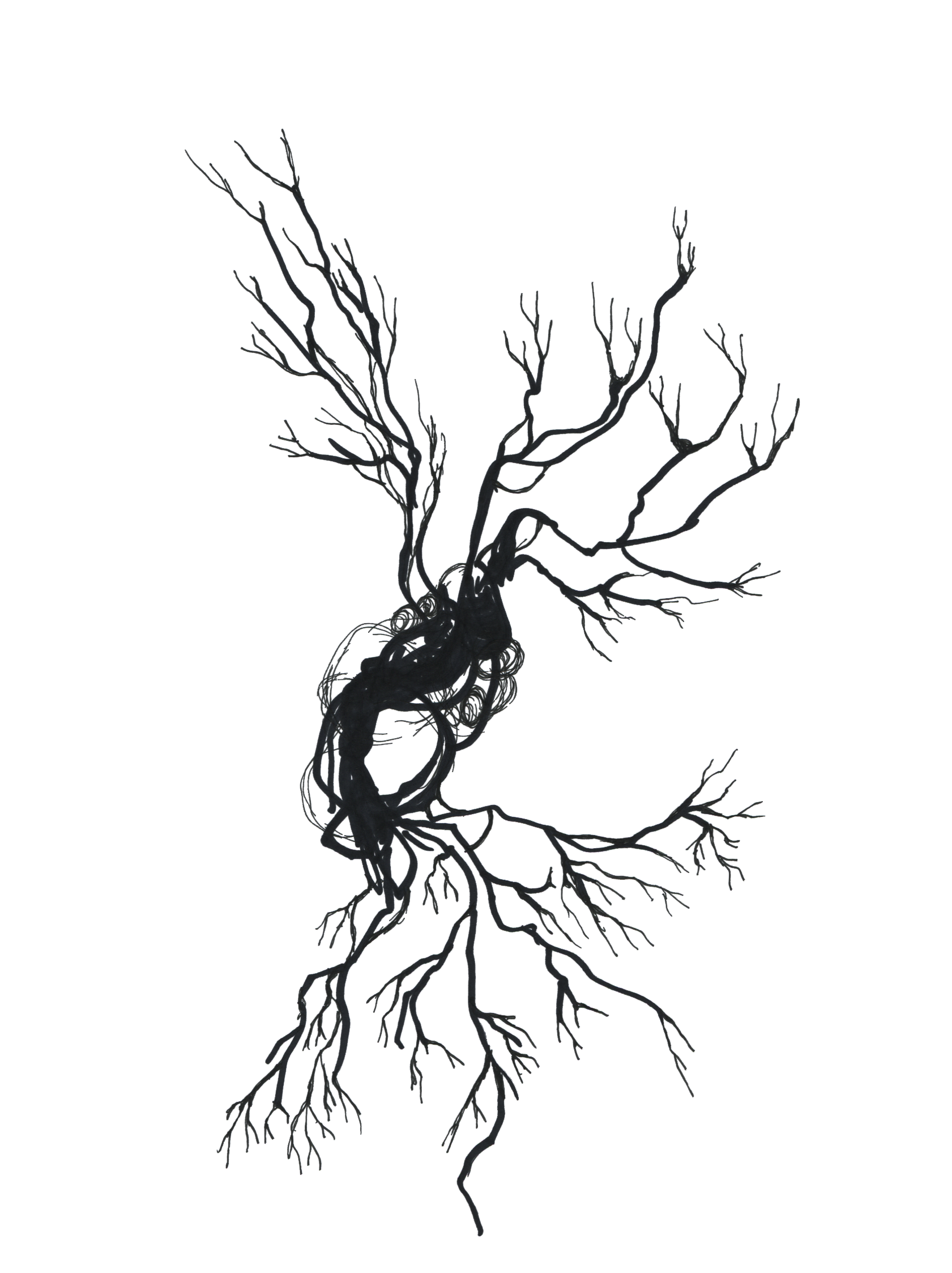 diagram illustration